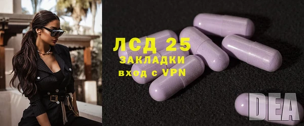 PSILOCYBIN Карпинск