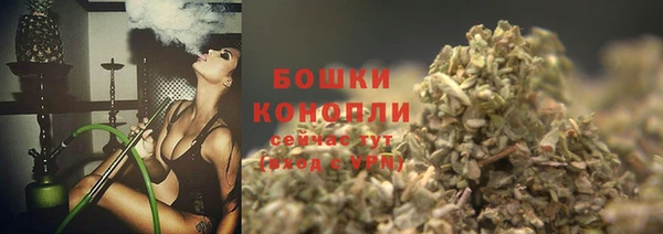 шишки Касимов