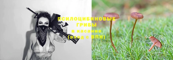 PSILOCYBIN Карпинск