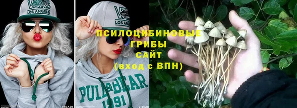 шишки Касимов