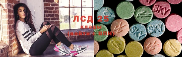 PSILOCYBIN Карпинск