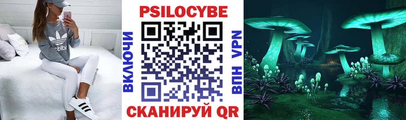 Купить  Дятьково  Галлюциногенные грибы ЛСД 